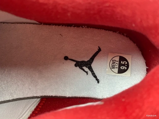 308497- Comfortable Air 89 Retro 4 1007 Alternate Jordan 0529